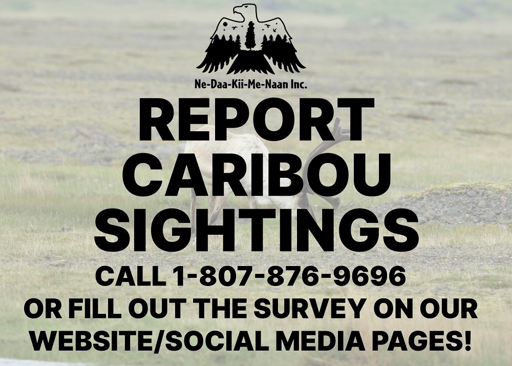 Caribou Reporting Form