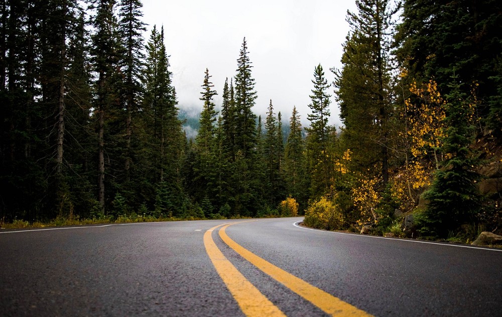 gray-and-yellow-road-between-forest-2096